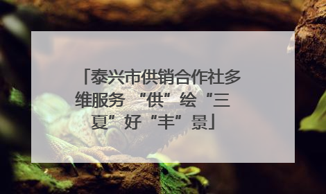 泰兴市供销合作社多维服务 “供”绘“三夏”好“丰”景