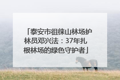 泰安市徂徕山林场护林员邓兴法：37年扎根林场的绿色守护者