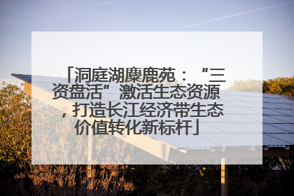 洞庭湖麋鹿苑：“三资盘活”激活生态资源，打造长江经济带生态价值转化新标杆