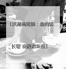 洪湖燕窝镇：血肉铸长堤 奋进谱新曲
