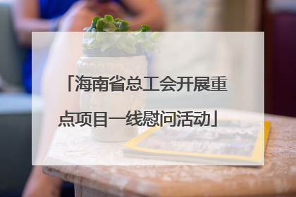 海南省总工会开展重点项目一线慰问活动