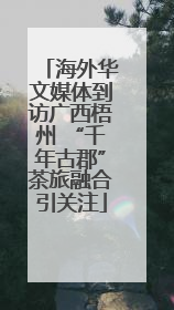 海外华文媒体到访广西梧州 “千年古郡”茶旅融合引关注