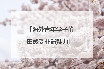 海外青年学子莆田感受非遗魅力