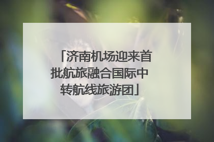 济南机场迎来首批航旅融合国际中转航线旅游团