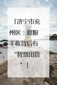 济宁市兖州区：夏粮丰收背后有“智慧田管”