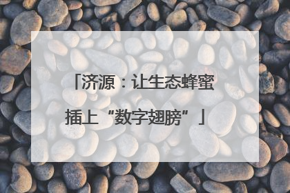 济源：让生态蜂蜜插上“数字翅膀”