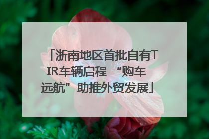 浙南地区首批自有TIR车辆启程 “购车远航”助推外贸发展