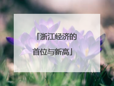 浙江经济的首位与新高