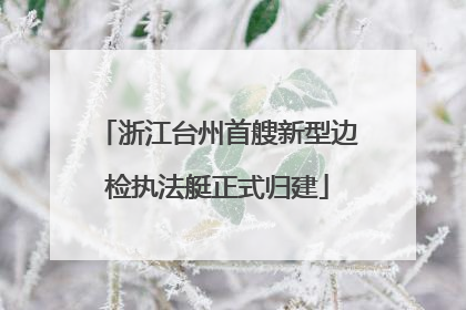浙江台州首艘新型边检执法艇正式归建