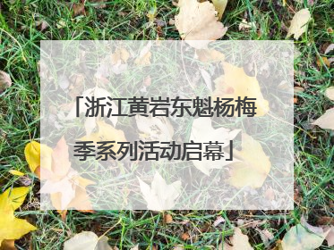 浙江黄岩东魁杨梅季系列活动启幕