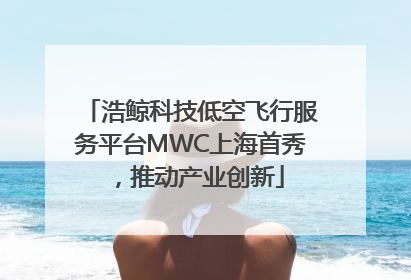 浩鲸科技低空飞行服务平台MWC上海首秀，推动产业创新