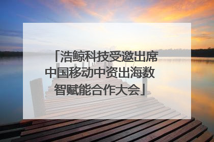 浩鲸科技受邀出席中国移动中资出海数智赋能合作大会