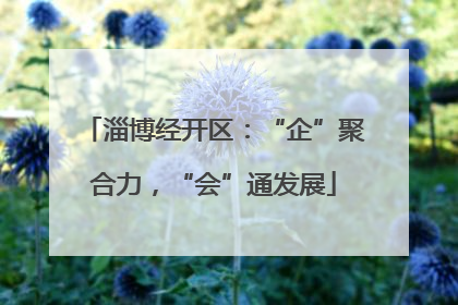 淄博经开区：“企”聚合力，“会”通发展