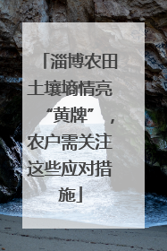 淄博农田土壤墒情亮“黄牌”，农户需关注这些应对措施