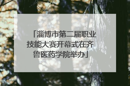 淄博市第二届职业技能大赛开幕式在齐鲁医药学院举办