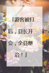 游客被打后，县长开会，全县整治！