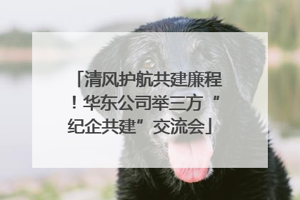 清风护航共建廉程！华东公司举三方“纪企共建”交流会