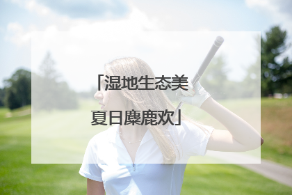 湿地生态美 夏日麋鹿欢