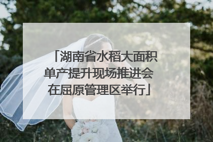 湖南省水稻大面积单产提升现场推进会在屈原管理区举行