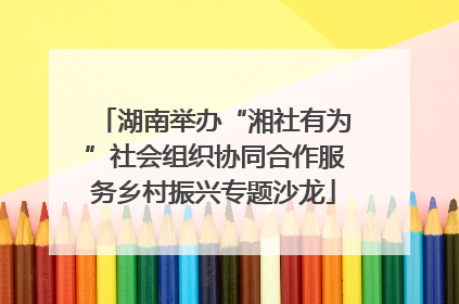 湖南举办“湘社有为”社会组织协同合作服务乡村振兴专题沙龙