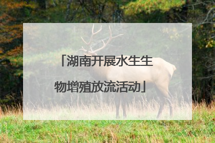 湖南开展水生生物增殖放流活动