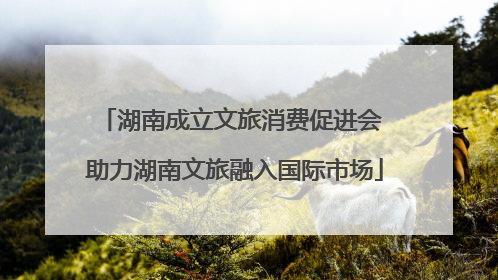 湖南成立文旅消费促进会 助力湖南文旅融入国际市场