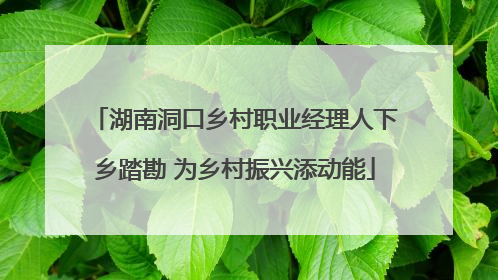 湖南洞口乡村职业经理人下乡踏勘 为乡村振兴添动能