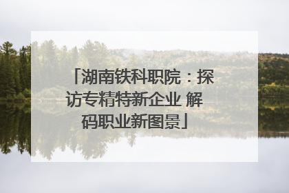 湖南铁科职院：探访专精特新企业 解码职业新图景