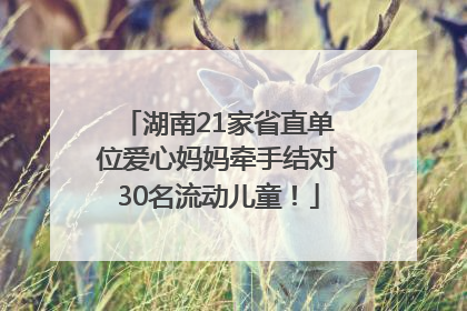 湖南21家省直单位爱心妈妈牵手结对30名流动儿童！