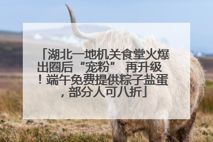 湖北一地机关食堂火爆出圈后“宠粉” 再升级！端午免费提供粽子盐蛋，部分人可八折