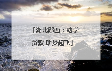 湖北郧西：助学贷款 助梦起飞