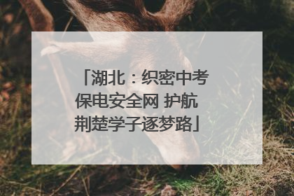 湖北：织密中考保电安全网 护航荆楚学子逐梦路