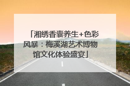 湘绣香囊养生+色彩风暴：梅溪湖艺术博物馆文化体验盛宴