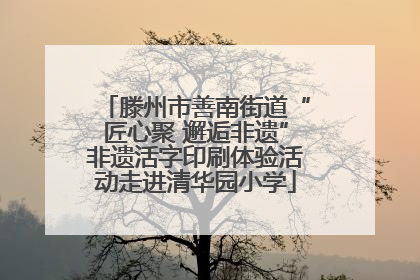 滕州市善南街道“匠心聚 邂逅非遗”非遗活字印刷体验活动走进清华园小学