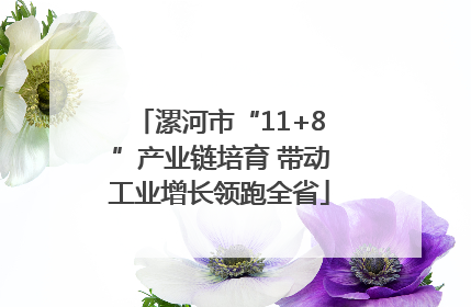 漯河市“11+8”产业链培育 带动工业增长领跑全省