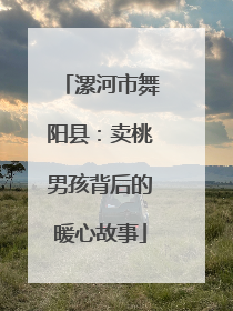 漯河市舞阳县：卖桃男孩背后的暖心故事