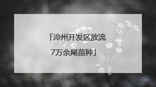 漳州开发区放流7万余尾苗种