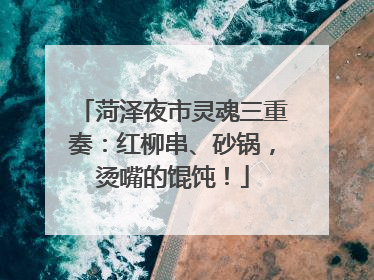 菏泽夜市灵魂三重奏：红柳串、砂锅，烫嘴的馄饨！