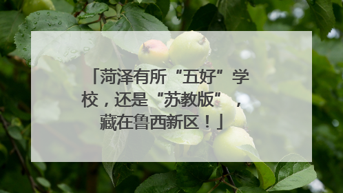 菏泽有所“五好”学校，还是“苏教版”，藏在鲁西新区！