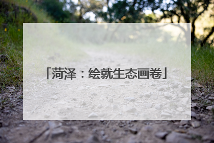 菏泽：绘就生态画卷