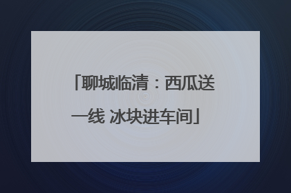 聊城临清：西瓜送一线 冰块进车间