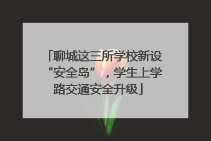 聊城这三所学校新设“安全岛”，学生上学路交通安全升级