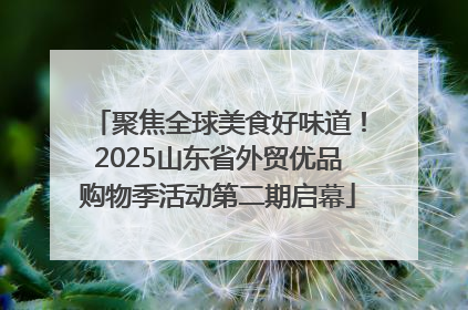 聚焦全球美食好味道！2025山东省外贸优品购物季活动第二期启幕