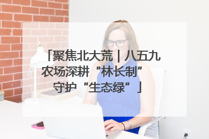 聚焦北大荒｜八五九农场深耕“林长制” 守护“生态绿”
