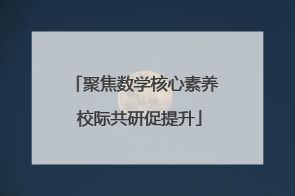 聚焦数学核心素养 校际共研促提升