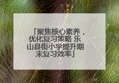 聚焦核心素养，优化复习策略 乐山县街小学提升期末复习效率