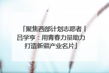 聚焦西部计划志愿者丨吕学亨：用青春力量助力打造新疆产业名片