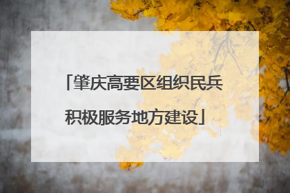 肇庆高要区组织民兵积极服务地方建设
