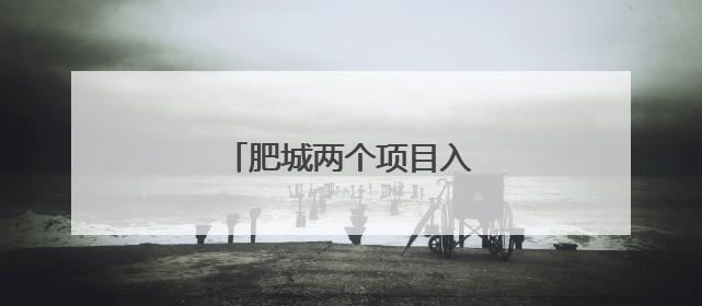 肥城两个项目入选省级目录！