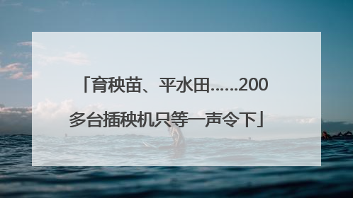 育秧苗、平水田……200多台插秧机只等一声令下